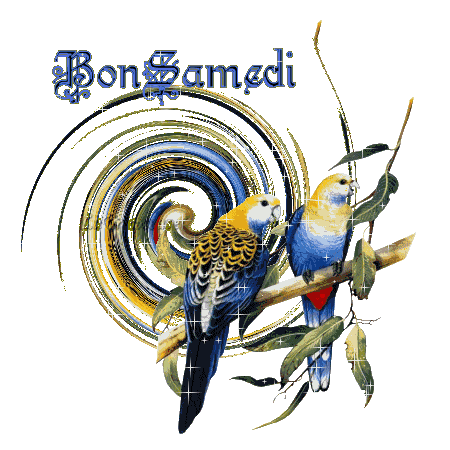 Bonjour et bon samedi à tous ( en musique sur mon blog )!!